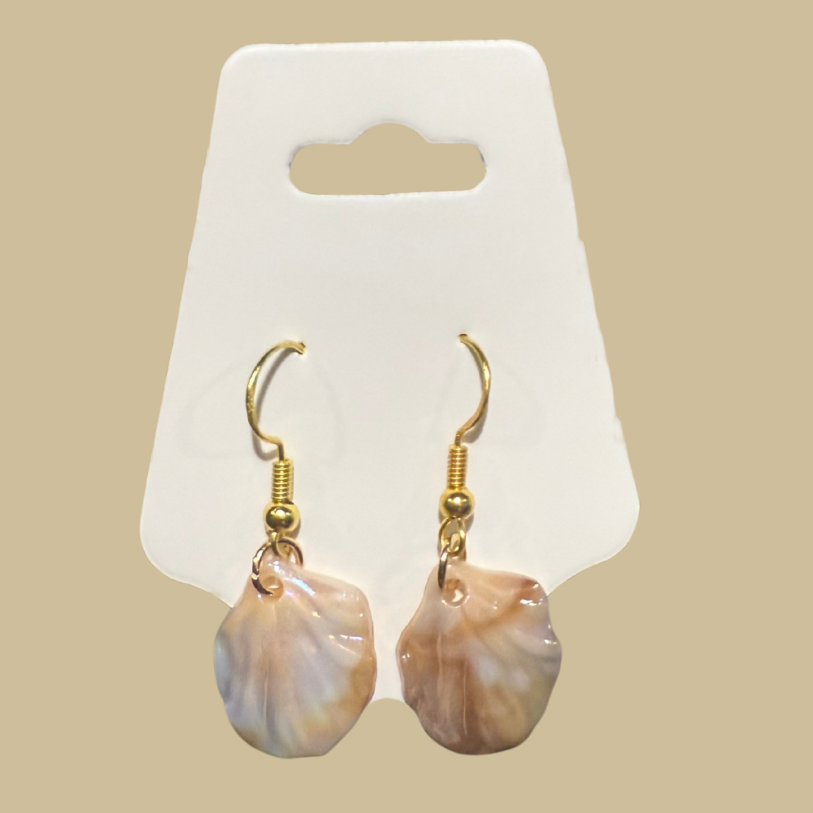 Shell earrings