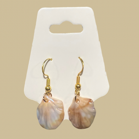 Shell earrings